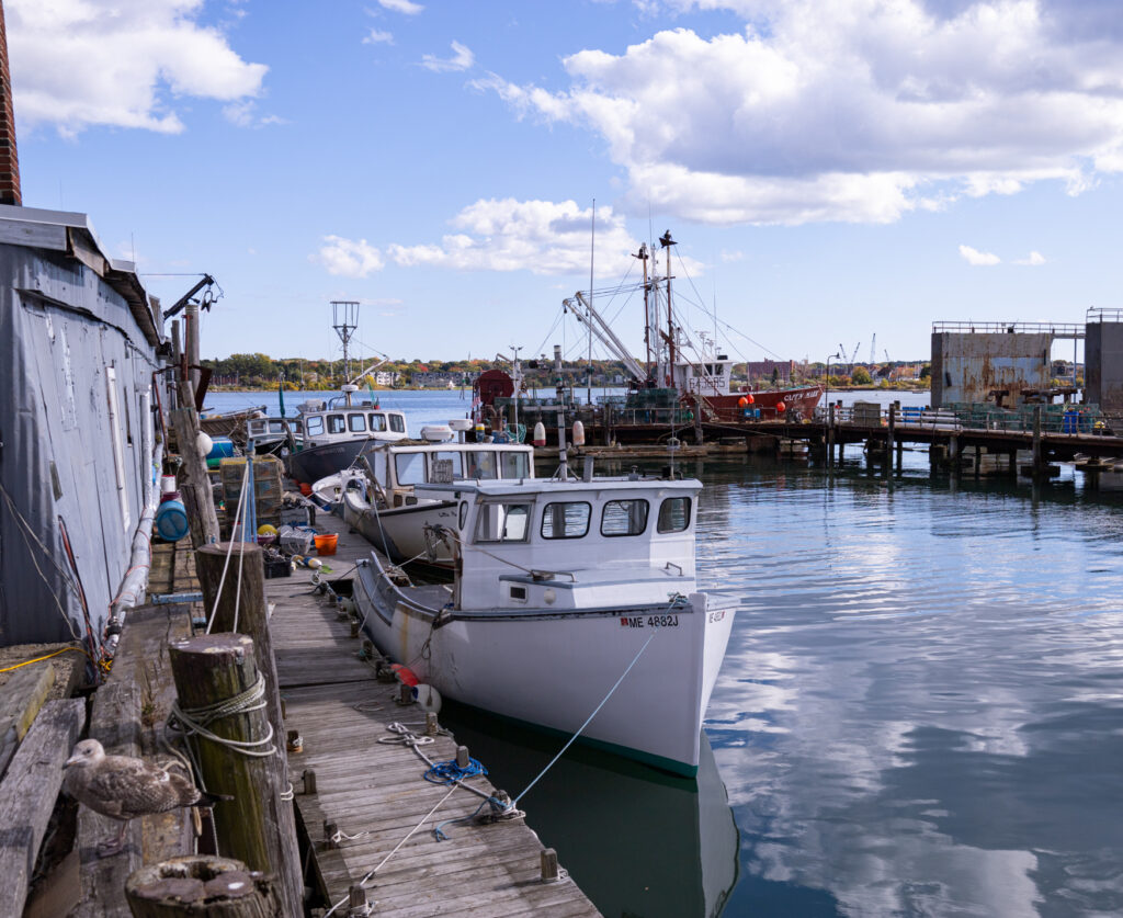 SoPo Seafood, South Portland
