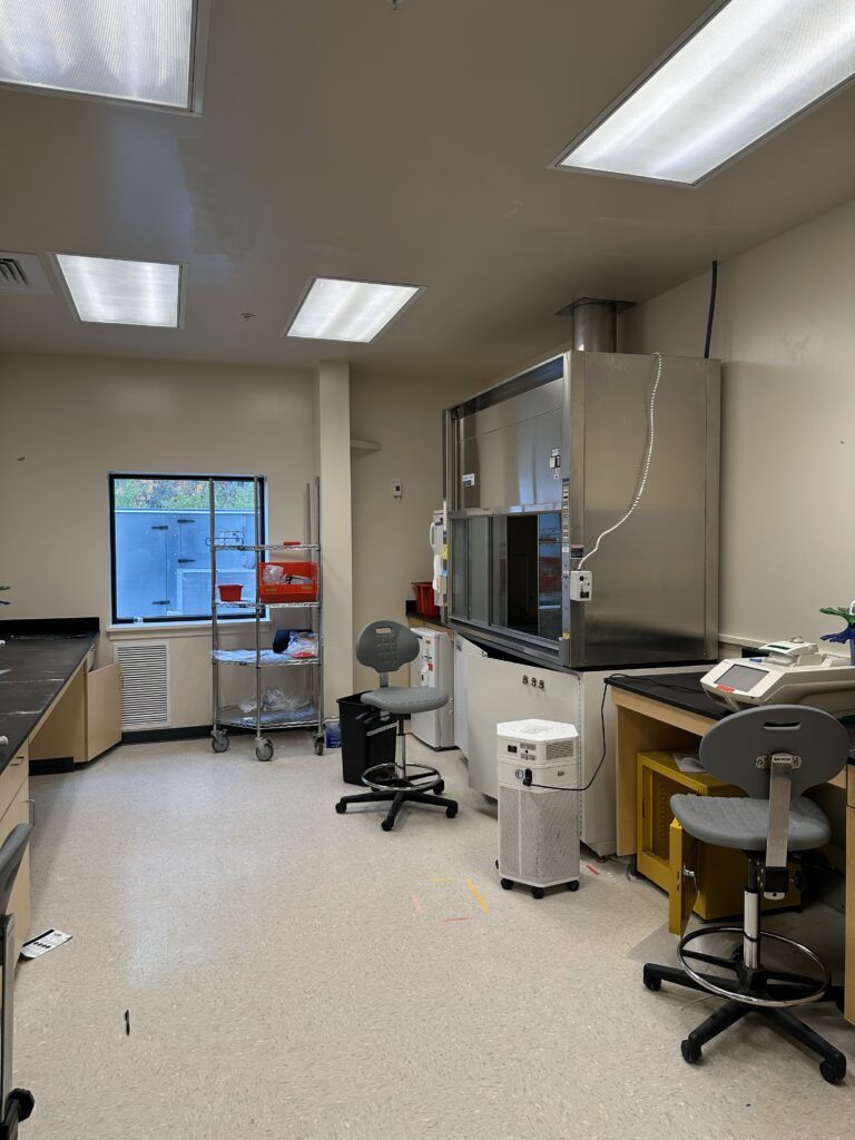 14 Washington Avenue, Scarborough