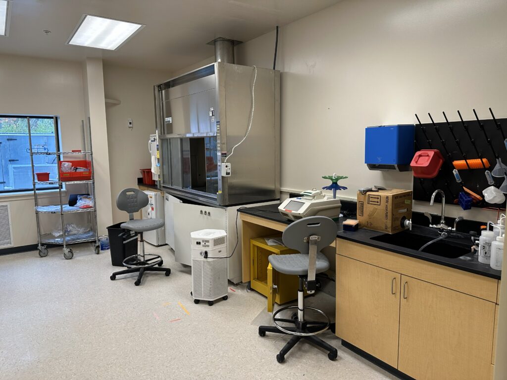 14 Washington Avenue, Scarborough