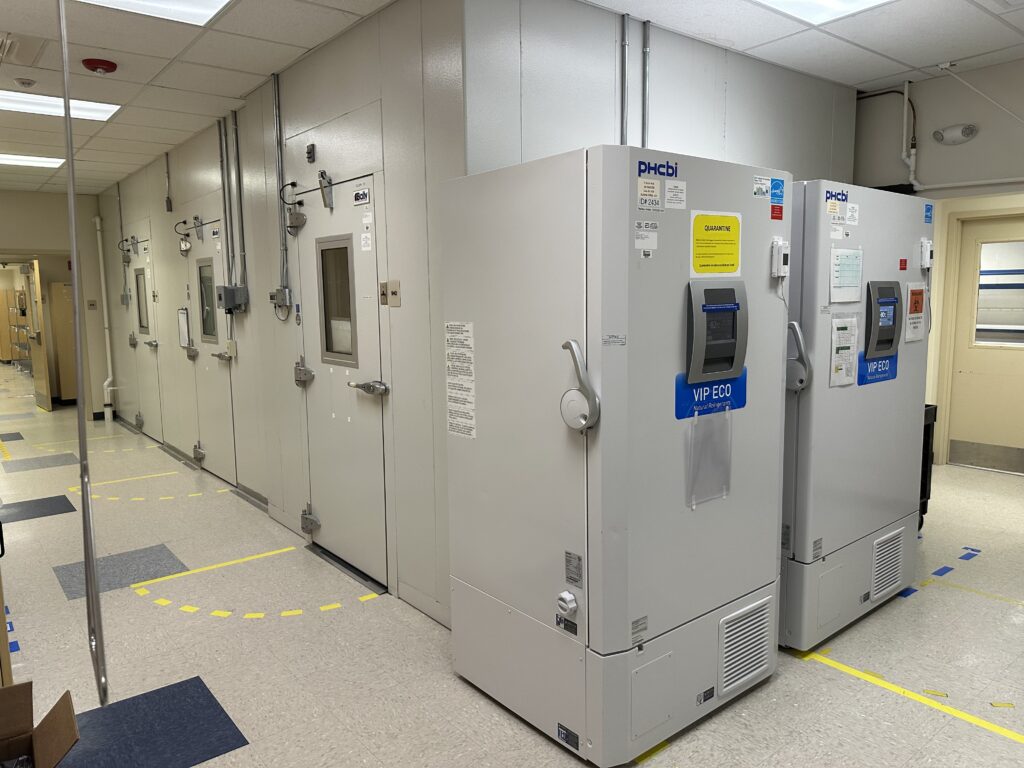 14 Washington Avenue, Scarborough