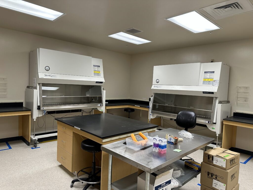 14 Washington Avenue, Scarborough