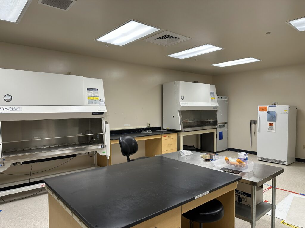 14 Washington Avenue, Scarborough