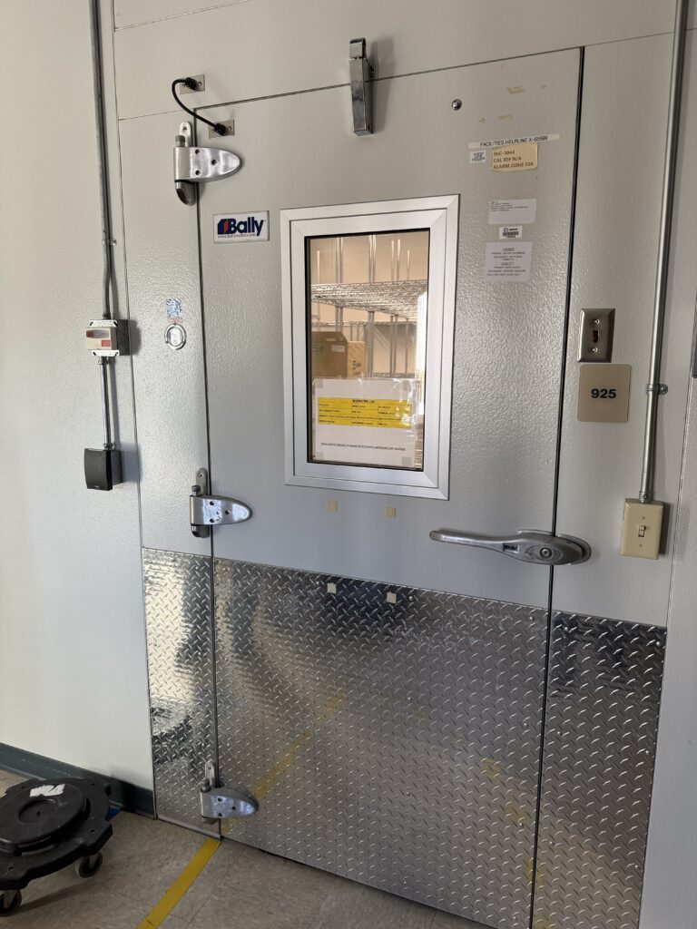 14 Washington Avenue, Scarborough