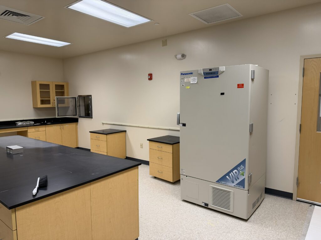 14 Washington Avenue, Scarborough