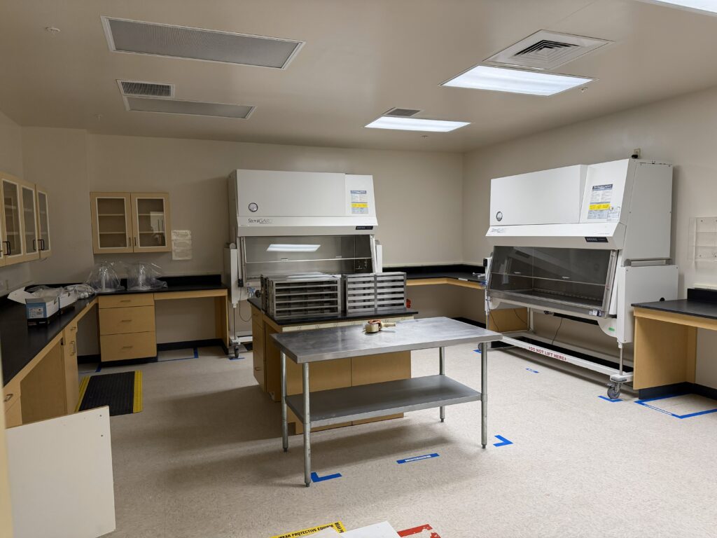 14 Washington Avenue, Scarborough