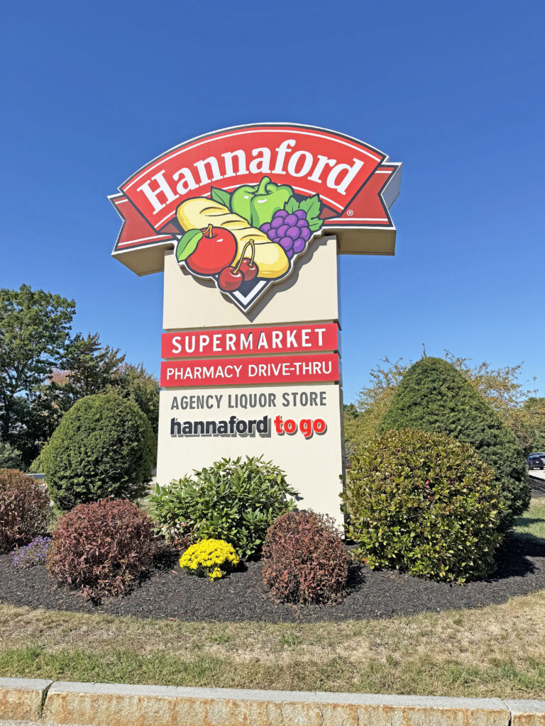 11 Hannaford Drive, Scarborough