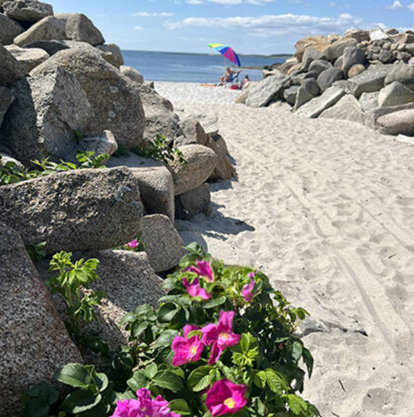 Goose Rocks Beach General Store